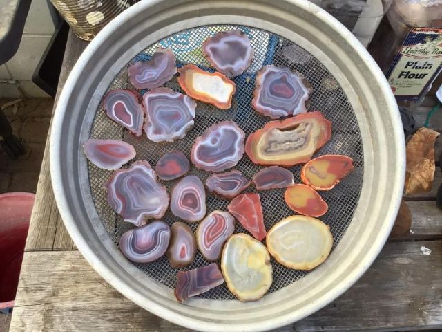Website_Field_Trip_Agate_Photo
